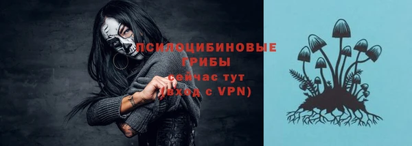 молекула духа Абинск