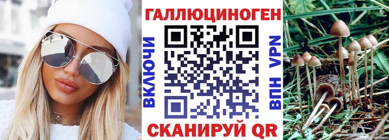 наркота  Краснозаводск  Псилоцибиновые грибы Psilocybe 